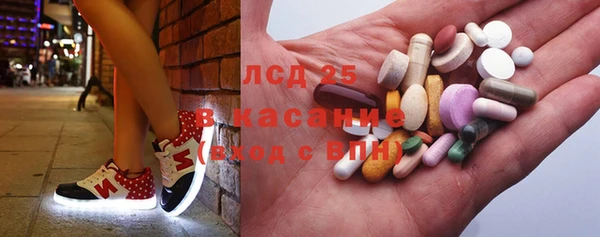 дурь Няндома