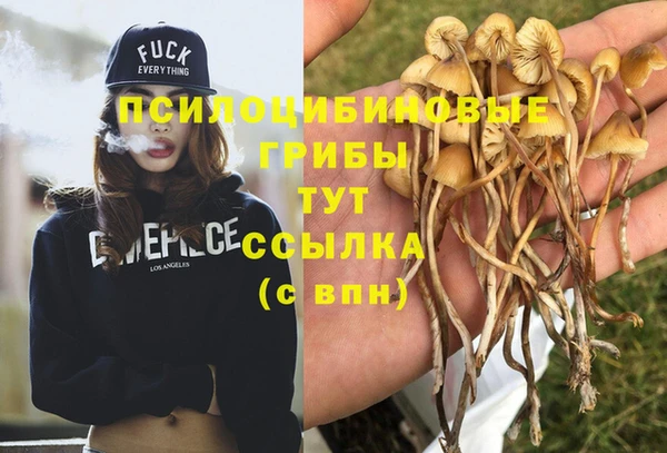 дурь Няндома