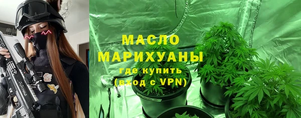 дурь Няндома