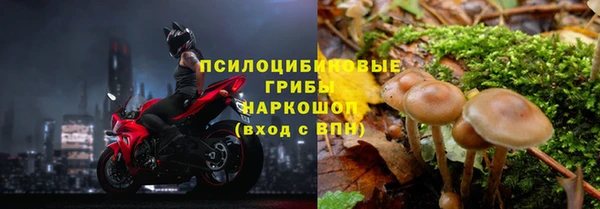 ALPHA-PVP Новодвинск