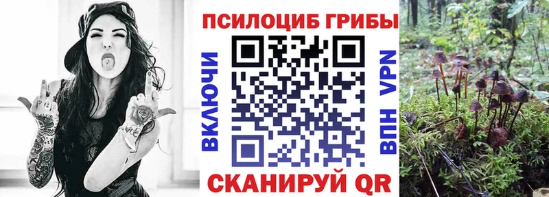 Галлюциногенные грибы Psilocybe  мега ССЫЛКА  Райчихинск 